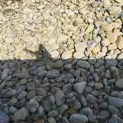 きなこラブ