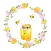 ☆れんげはちみつ☆の画像