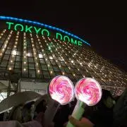 さくらの画像