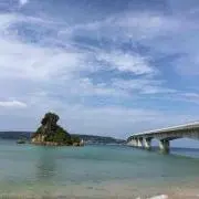 てぃも