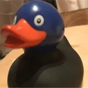 ルールの画像