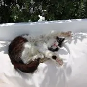 yuuの画像