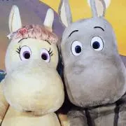 maimaiの画像