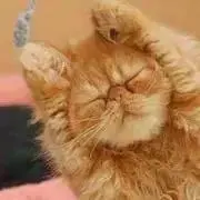 れい