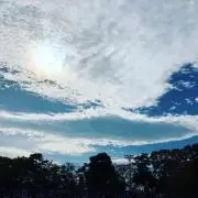 りゅうの画像