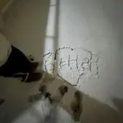 ぴーの画像