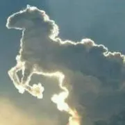 パラダイスの画像