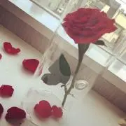 yun__a..