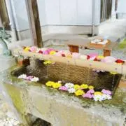 サッチモ@6/6〜6/9発送不可の画像