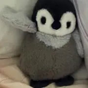 ゆうきの画像