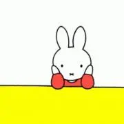 りーの画像