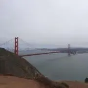ピレニーズの画像