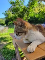 うみの画像