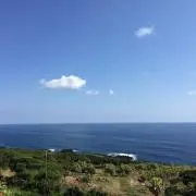 Saの画像