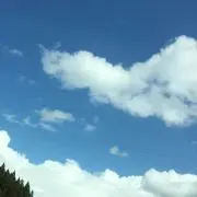もちもち