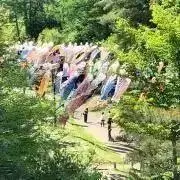 TAKAの画像