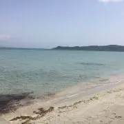 みおの画像