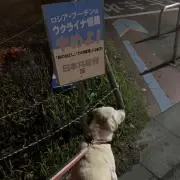 むゆ