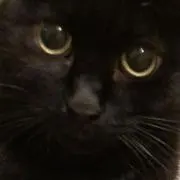 HSYKの画像