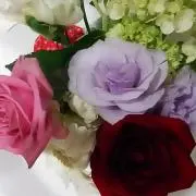 yo-koの画像