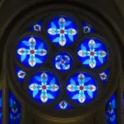 蒼葵