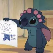 stichの画像
