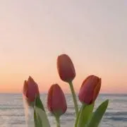 honeyの画像