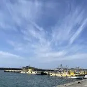 Rの画像