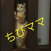 ちびママ@