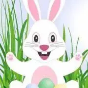 うさぎの画像