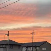 リタドウィプスピタサリの画像