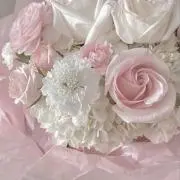 さはらの画像
