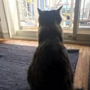 itstmi