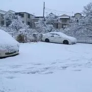 なかの画像