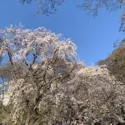 ♡SALE中♡の画像