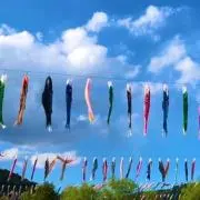 ぽーーんの画像
