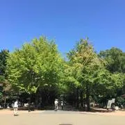 NAHO
