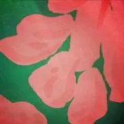 ましろの画像