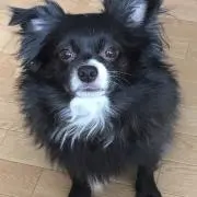 タカティン