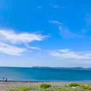 amuの画像