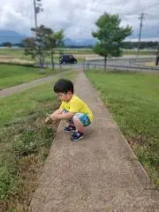 ぽっぽの画像