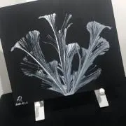 げんぞう