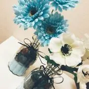 Yuuの画像
