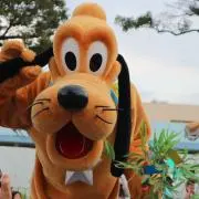 しょーん