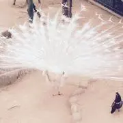 潤南