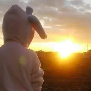 三毛猫の画像