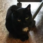 ノア