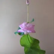 ♯の画像