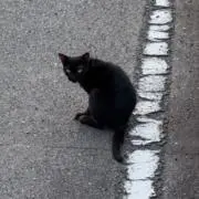 あ