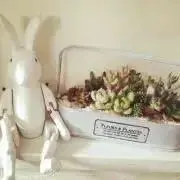 りーちゃん●値下げ交渉可●の画像